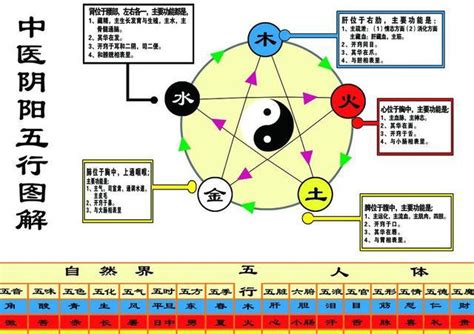 五行個性|五行